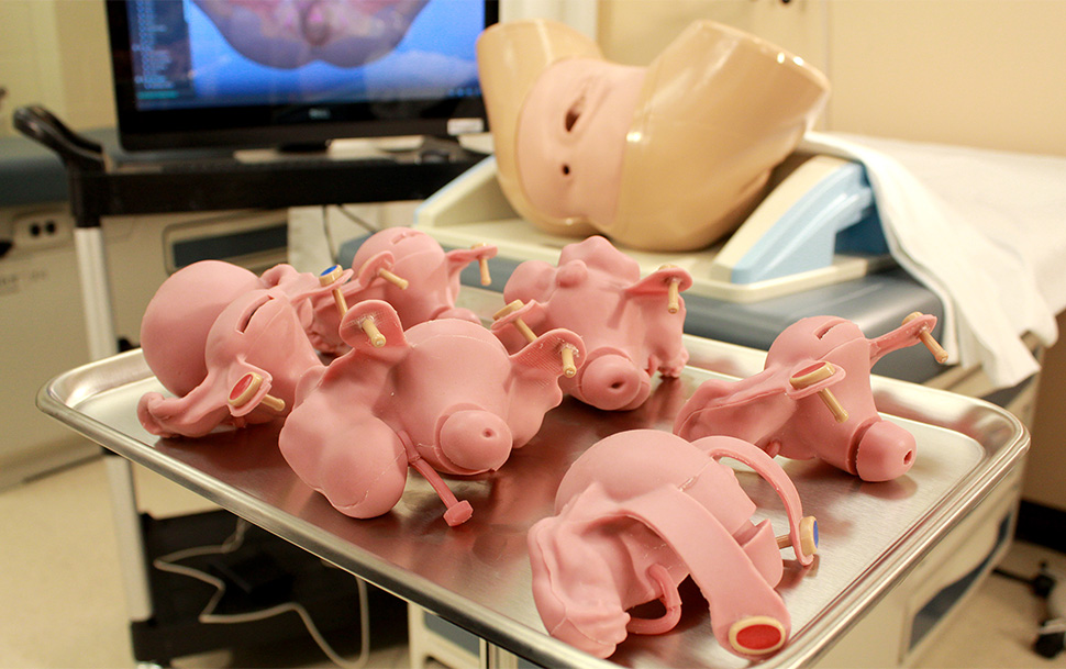 Anatomical customization