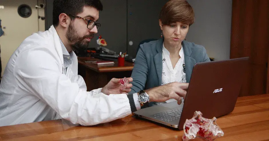 Utenti del software D2P con modelli