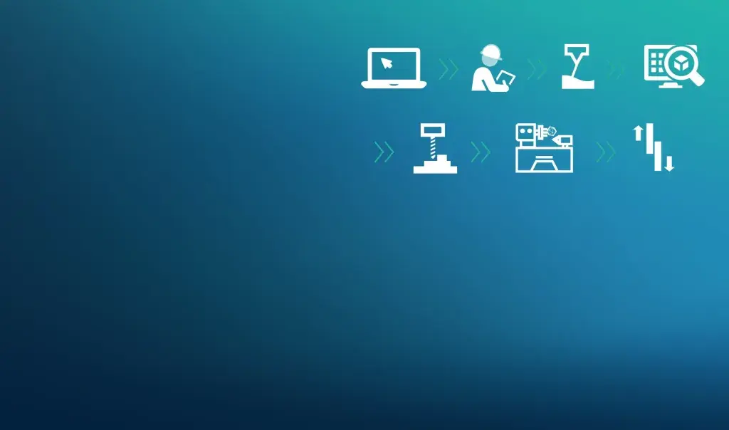 DMP Inspection Webinar IT