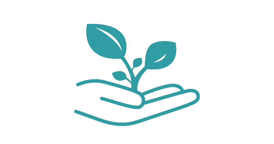 Immagine di una mano che sostiene una piantina