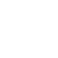 AIG Percorso verso il mercato Icona piccola