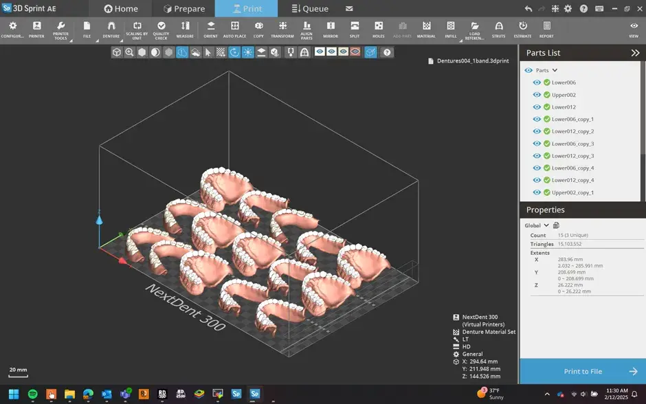 Uno screenshot del software 3D Sprint che mostra i file NextDent
